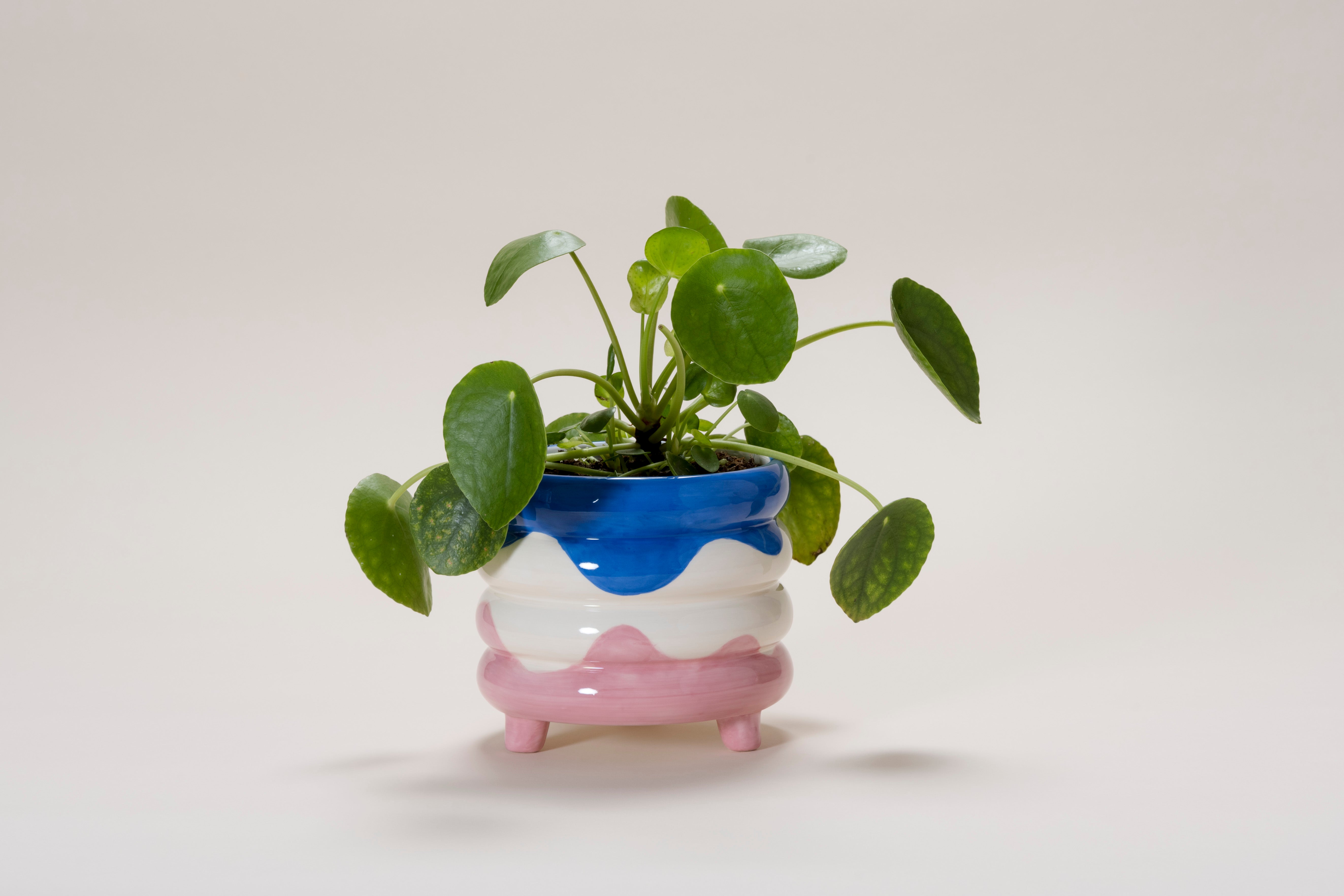 PLANT POT PABLO - SWEET & SUAVE